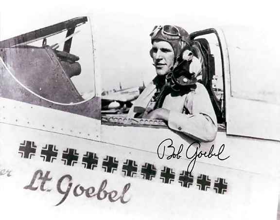 Goebelcockpit.jpg (45273 bytes)